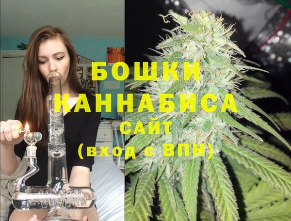 альфа пвп Бородино